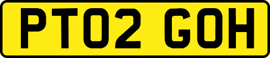 PT02GOH