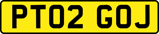 PT02GOJ