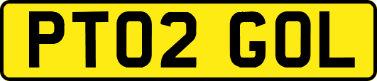 PT02GOL