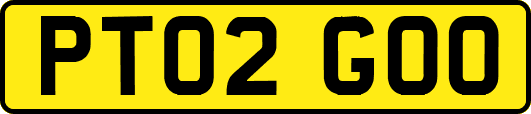 PT02GOO