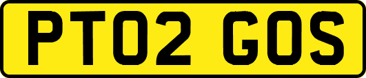 PT02GOS
