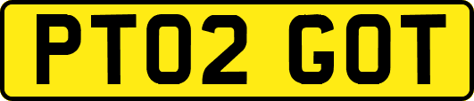 PT02GOT