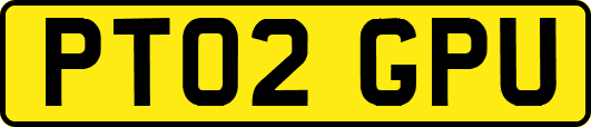 PT02GPU