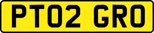 PT02GRO