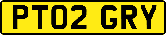 PT02GRY