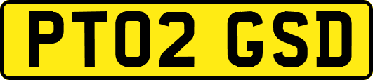 PT02GSD