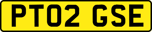 PT02GSE