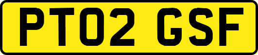 PT02GSF