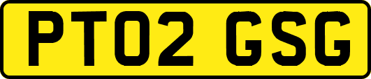 PT02GSG