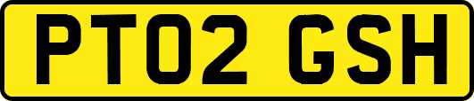 PT02GSH