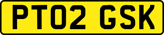 PT02GSK