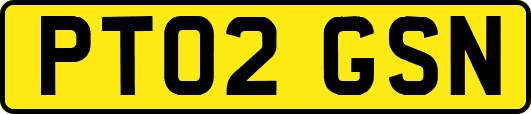 PT02GSN