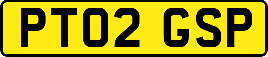 PT02GSP