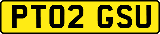 PT02GSU