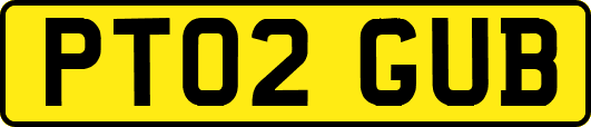 PT02GUB