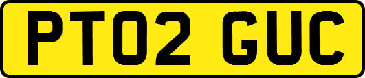 PT02GUC