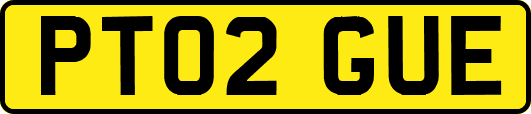 PT02GUE