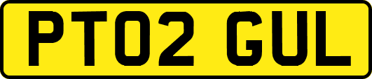 PT02GUL