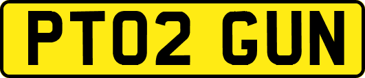 PT02GUN