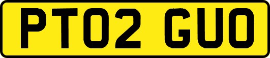 PT02GUO