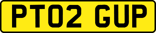 PT02GUP