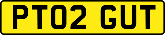 PT02GUT