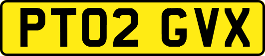 PT02GVX