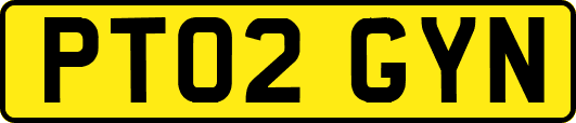 PT02GYN