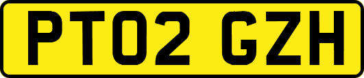 PT02GZH