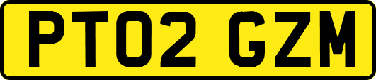 PT02GZM