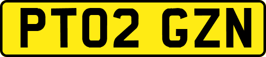 PT02GZN