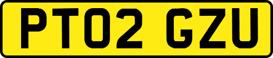 PT02GZU