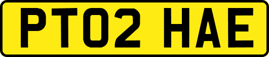 PT02HAE