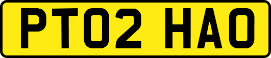 PT02HAO