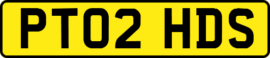 PT02HDS