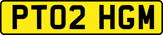 PT02HGM