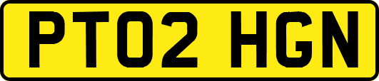 PT02HGN