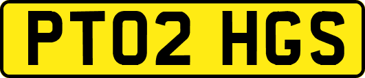 PT02HGS