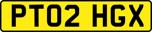 PT02HGX