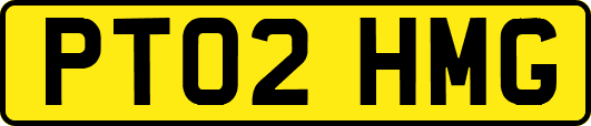 PT02HMG
