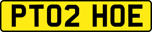 PT02HOE