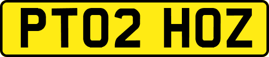 PT02HOZ