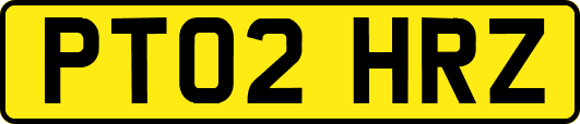 PT02HRZ