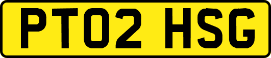 PT02HSG