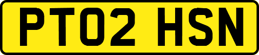PT02HSN