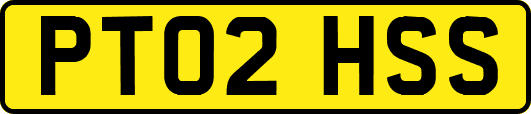 PT02HSS