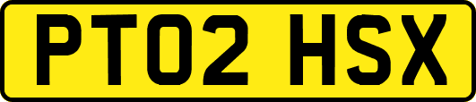 PT02HSX