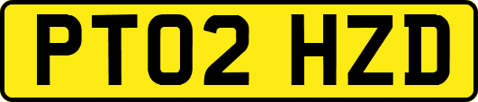 PT02HZD