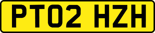 PT02HZH