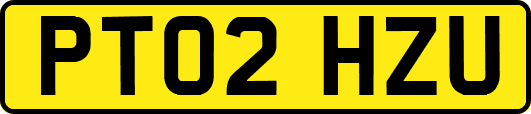 PT02HZU